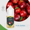 Themis Apple (30ML) Likit — 3MG